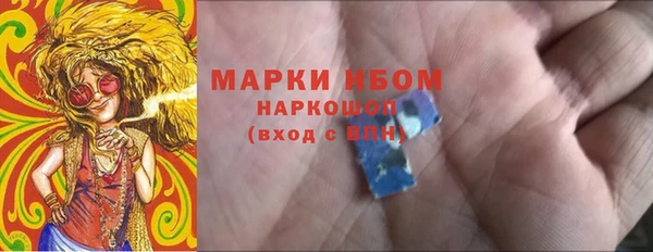 прущие грибы Гусев