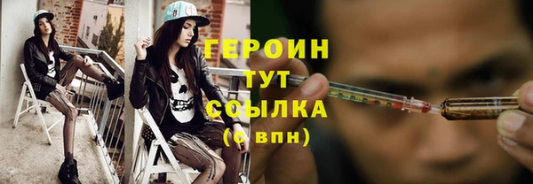 прущие грибы Гусев