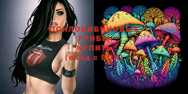 а пвп мука Гусиноозёрск