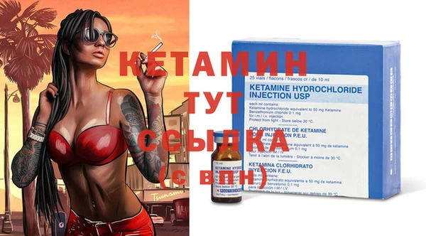 прущие грибы Гусев
