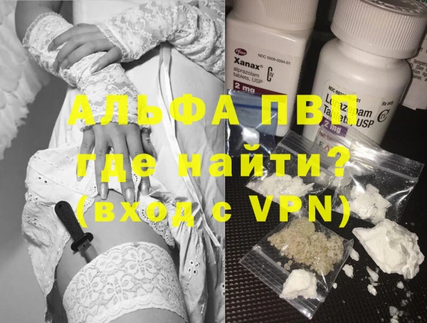 прущие грибы Гусев
