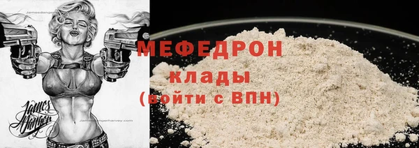 прущие грибы Гусев