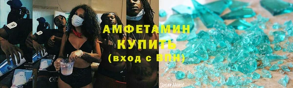 прущие грибы Гусев
